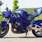 Honda CBR 900 RR MDS-Rothe Umbau