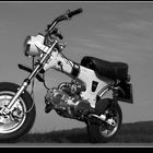 ... Honda Dax / Bj. 1974 ...