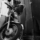 HONDA  Super Cub