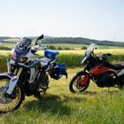 Honda und KTM einträchtig auf dem Feld 