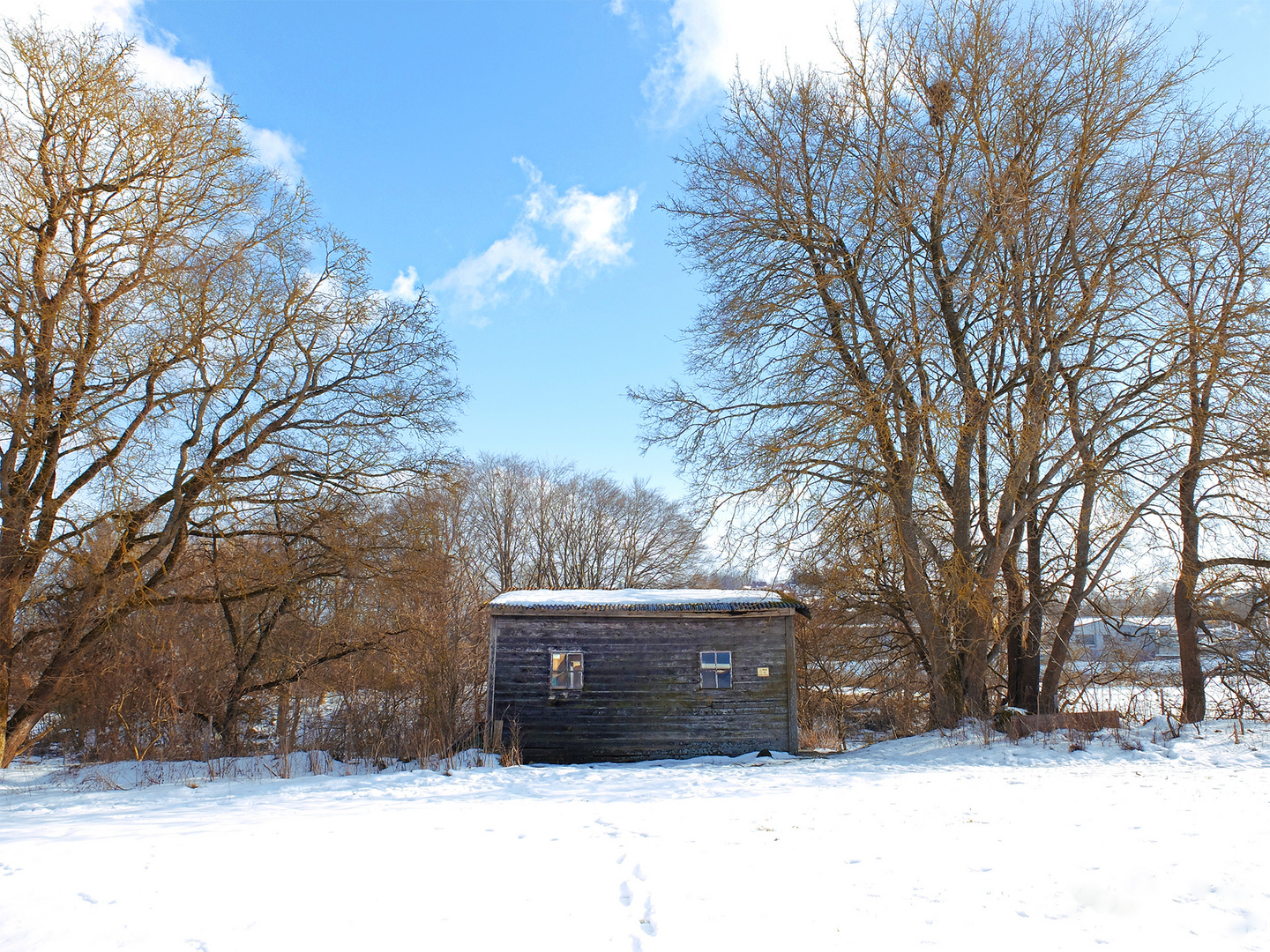 honey shelter