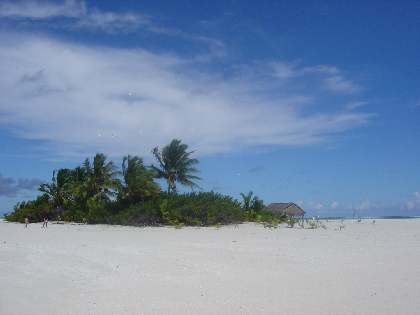 Honeymoon Island