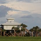 Honeymoon Island