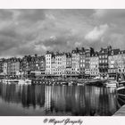 Honfleur le vieux Bassin