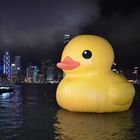 Hong Kong Duck