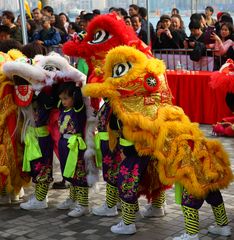 Hong Kong Löwen und Drachenfest