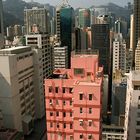 Hong Kong Pink