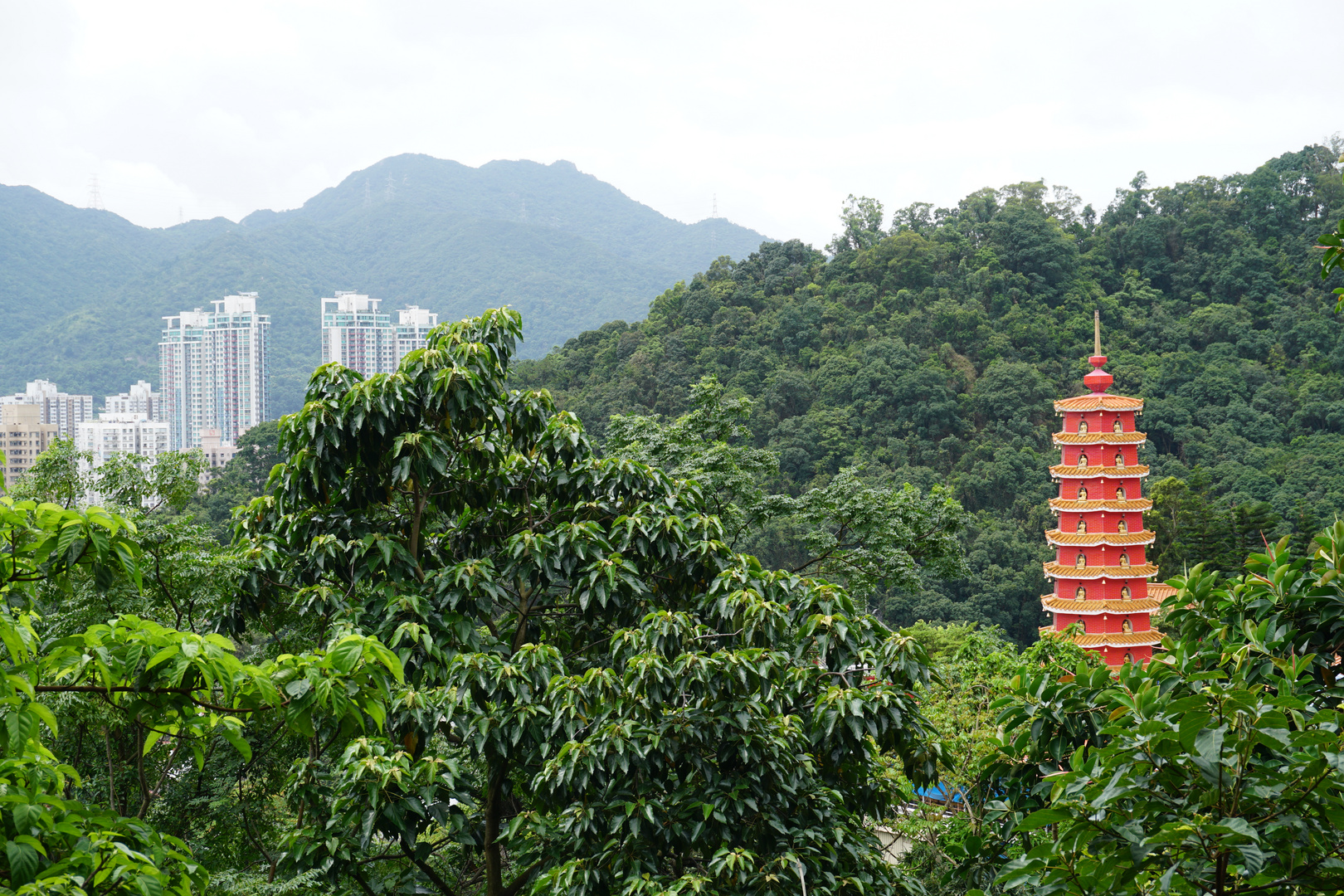 Hongkong - Zivilisation