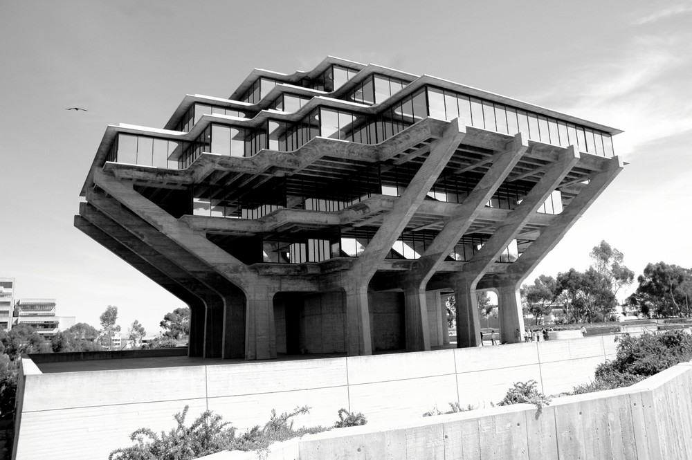 Hongo de Acero, UCSD, Biblioteca