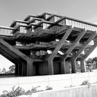 Hongo de Acero, UCSD, Biblioteca