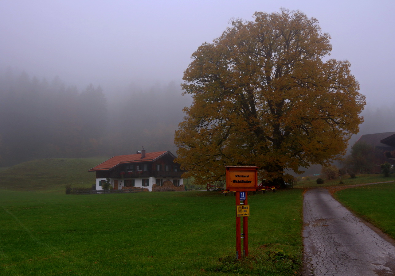 Honig aus der Schreinerei Wichtlhuber