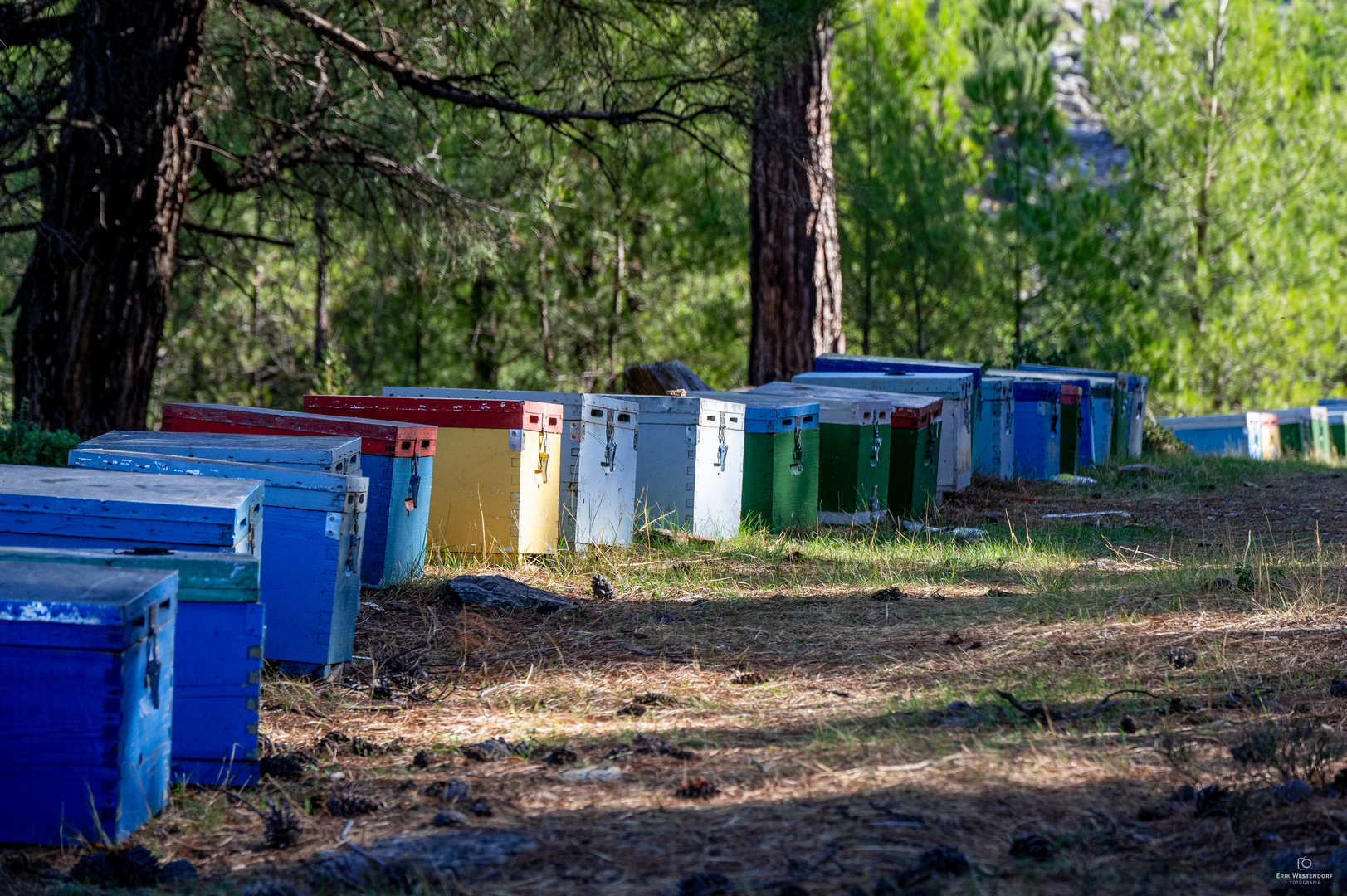 Honig-Manufaktur auf Thassos