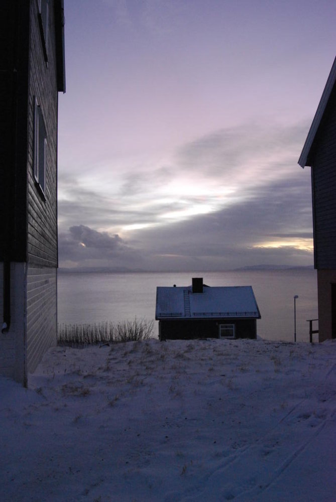 Honningsvåg - jenseits des Polarkreises von Ilona Dubs