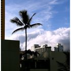 Honolulu