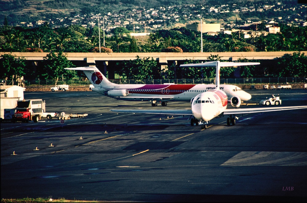 Honolulu Domestic Apron