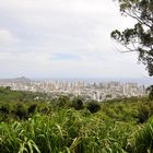 Honolulu from Tantalus Drive