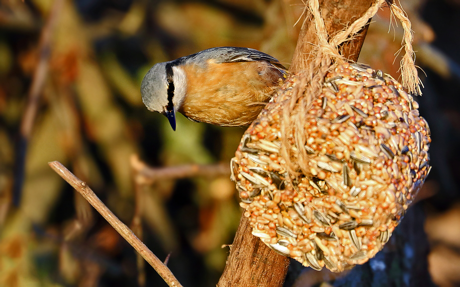 "Honorar in Natura"