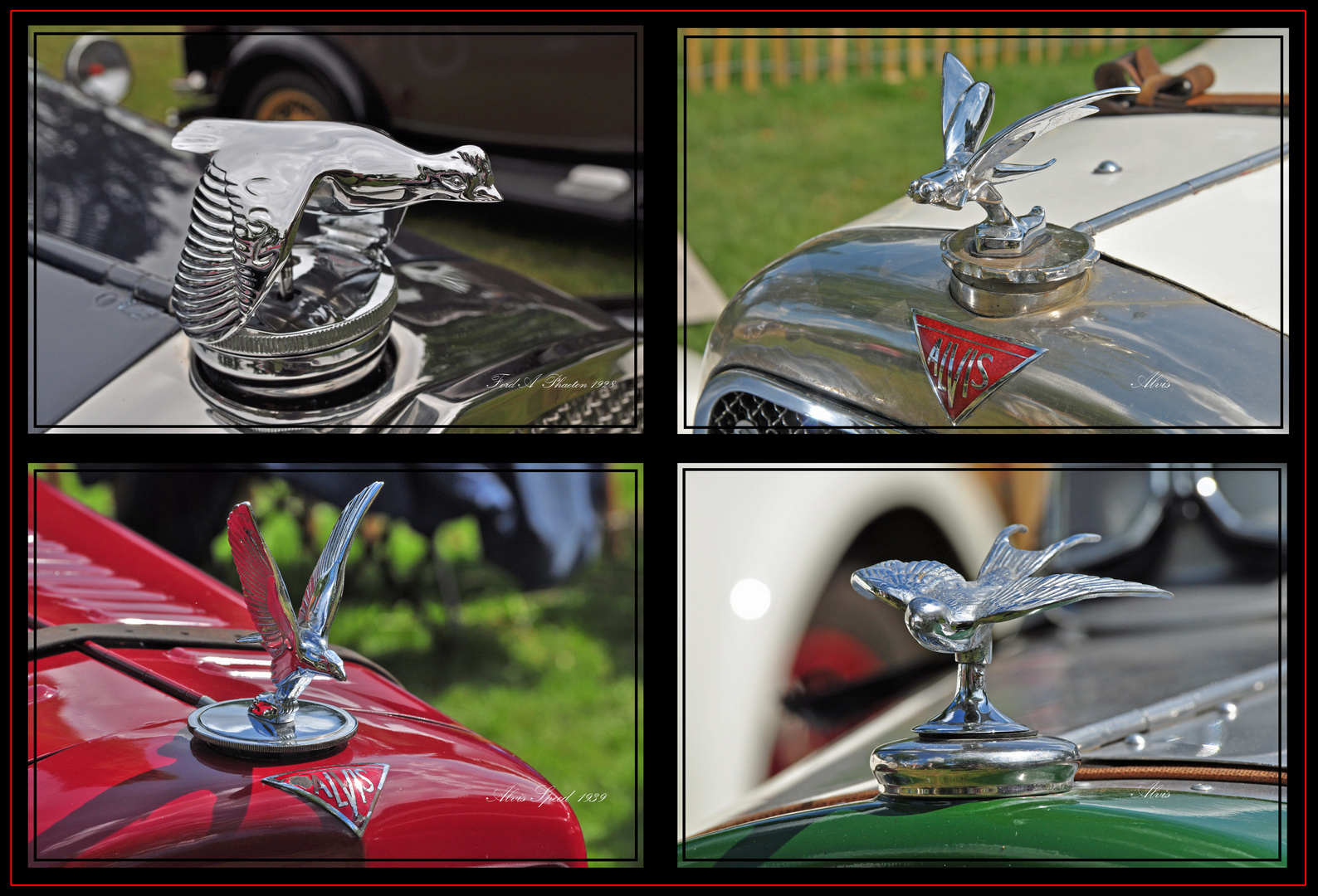 Hood Ornaments