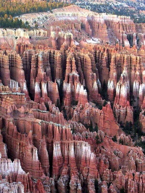 Hoodoos..