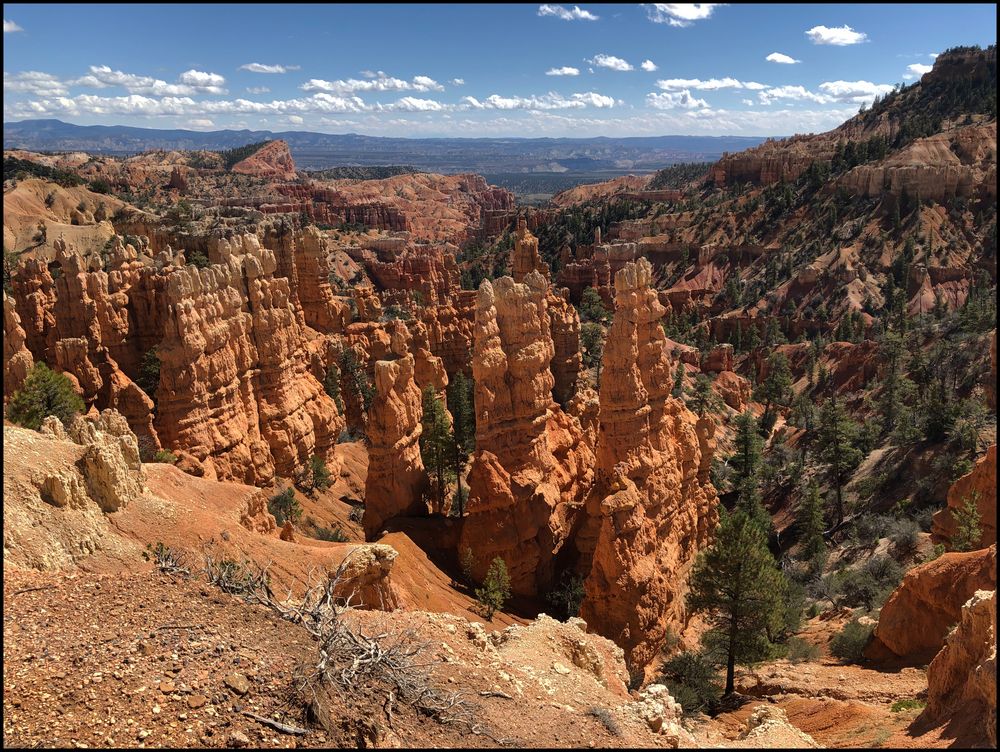 Hoodoos