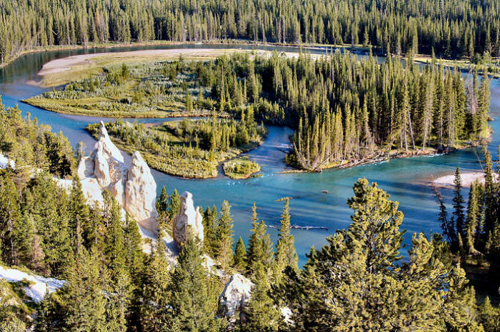 Hoodoos am Bow River