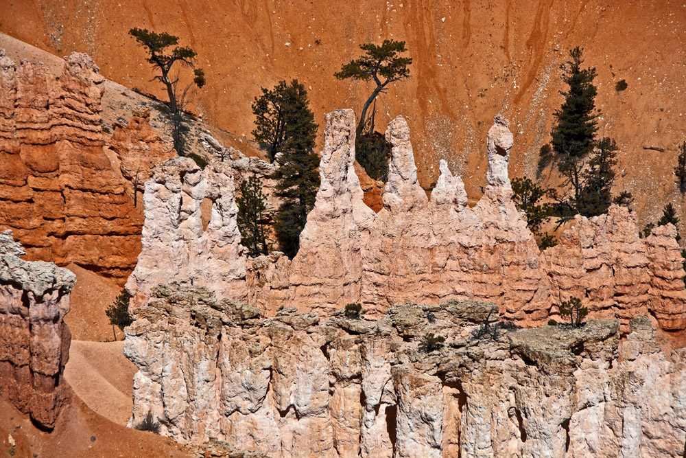 Hoodoos at Sunset Point (elevation 8000 feet ~ 2440 m)