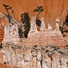 Hoodoos at Sunset Point (elevation 8000 feet ~ 2440 m)