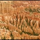 Hoodoos im Bryce Canyon