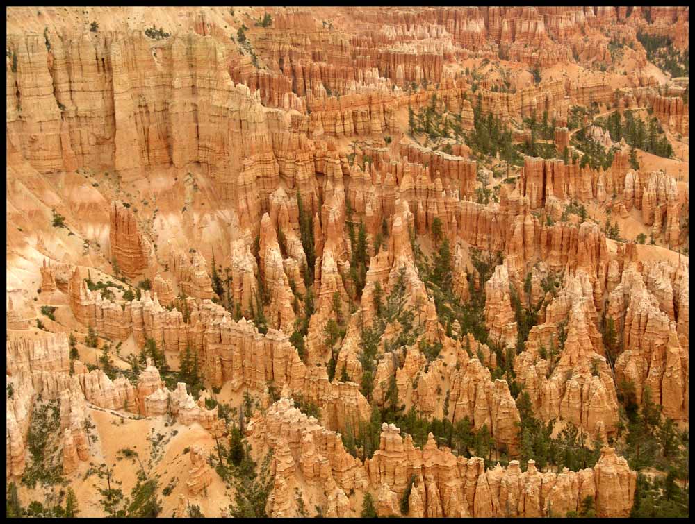 Hoodoos im Bryce Canyon