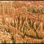 Hoodoos im Bryce Canyon