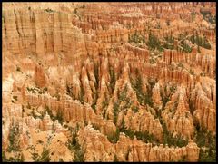 Hoodoos im Bryce Canyon