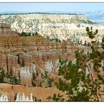 Hoodoos im Bryce Canyon - Utah, USA