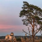 Hoog-Buurlose-Heide