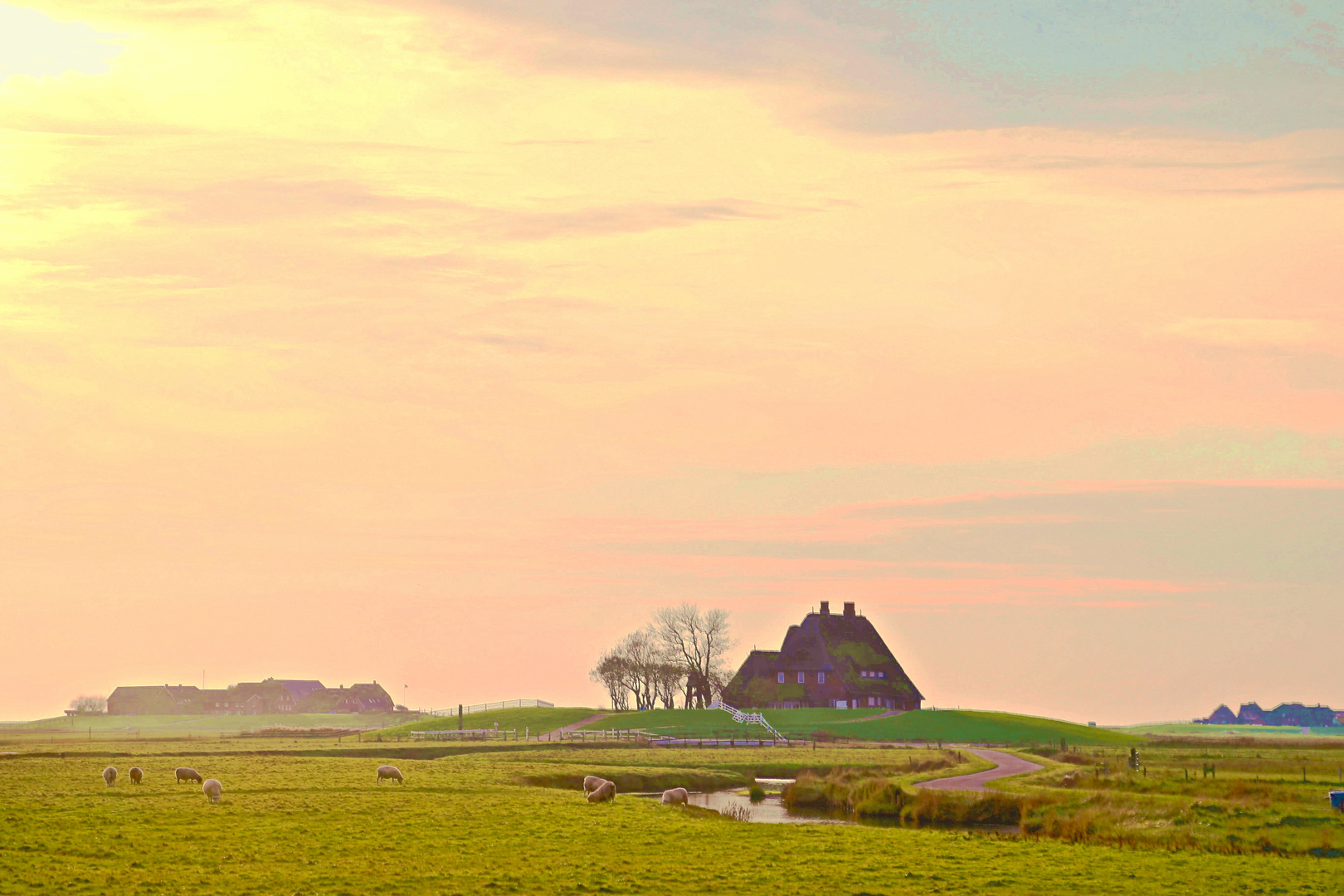 Hooge Foto & Bild world Bilder auf