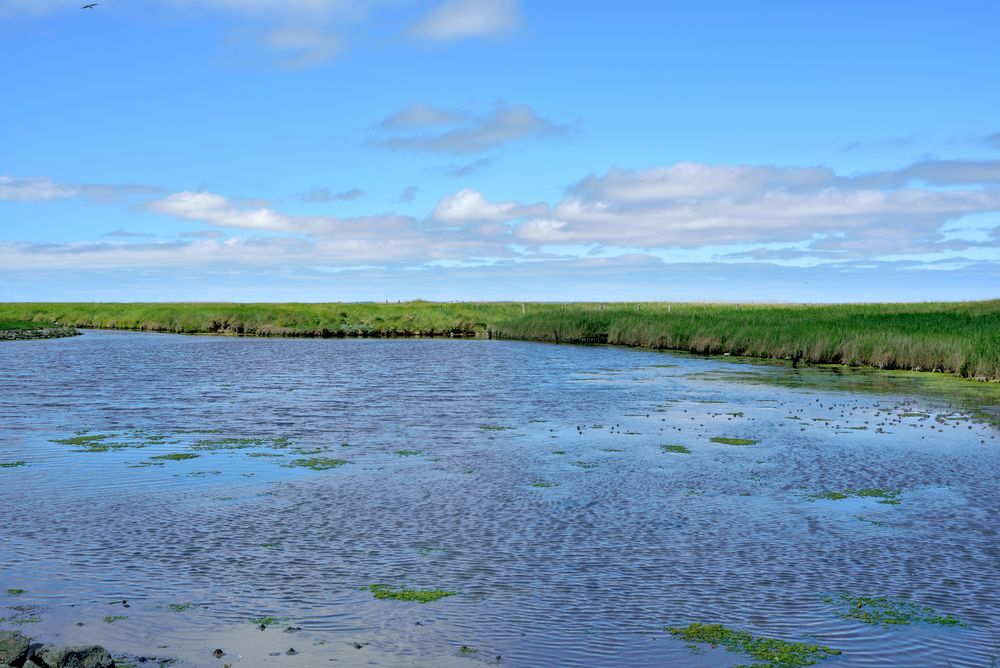 Hooge - Halligpanorama