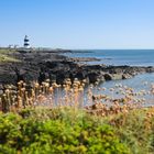 Hook Head Lighthouse 1