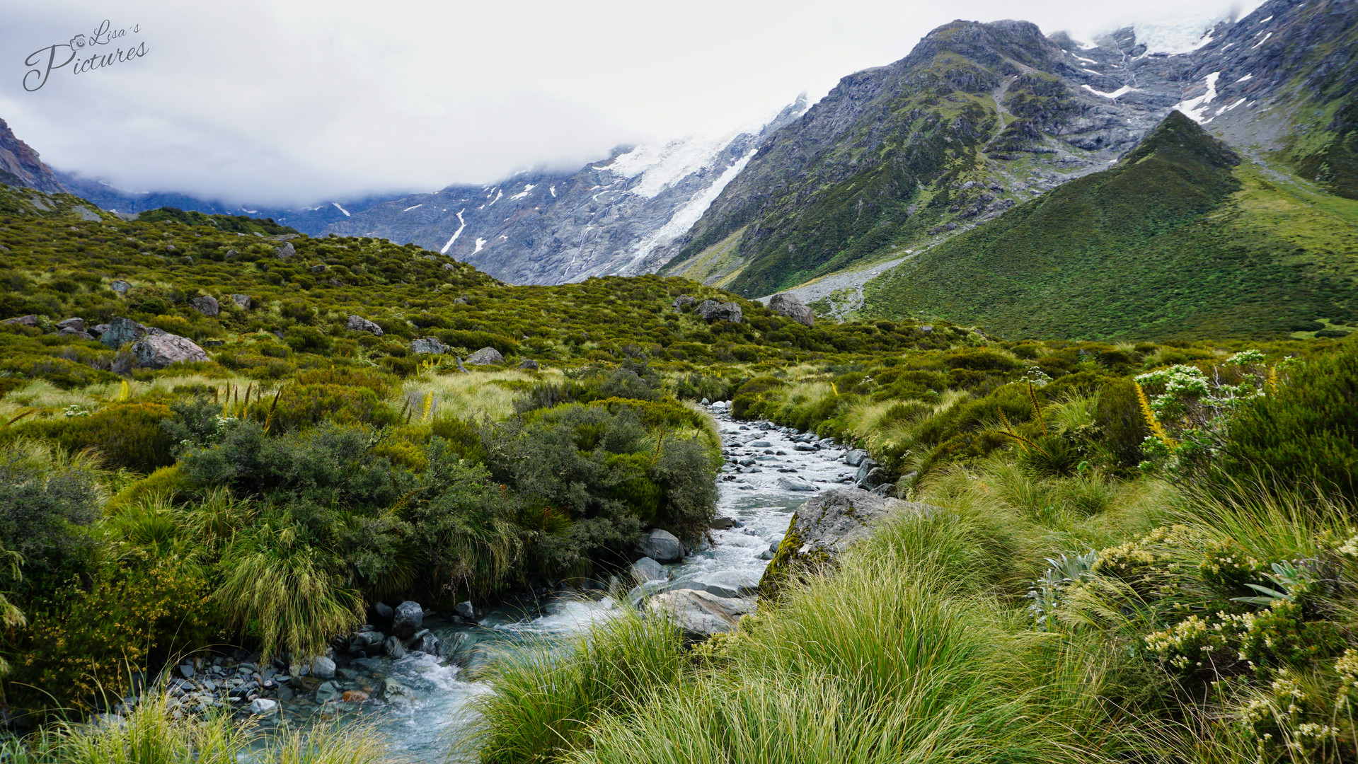 Hooker Valley Track New Zealand