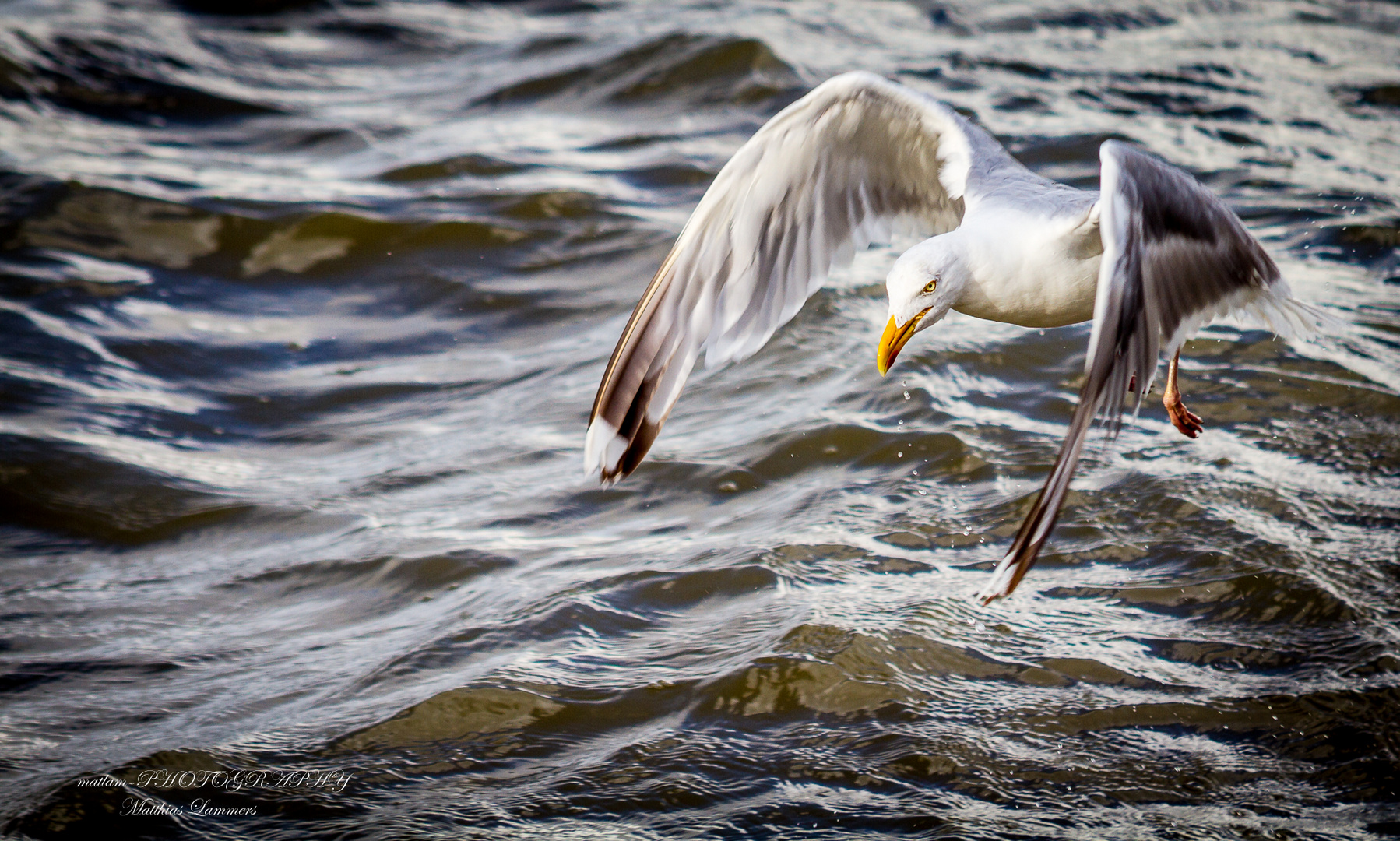 Hooksiel am Strand