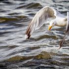 Hooksiel am Strand