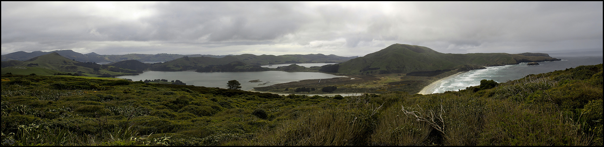 Hoopers Inlet + Allans Beach