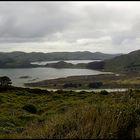 Hoopers Inlet + Allans Beach