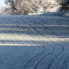 Hop Hop, ab auf die sonnige Seite des Lebens 