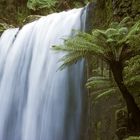 Hopetoun Falls 4