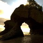 Hopewell Rock_02