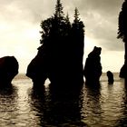 Hopewell rocks