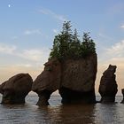 Hopewell Rocks