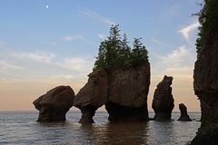 Hopewell Rocks