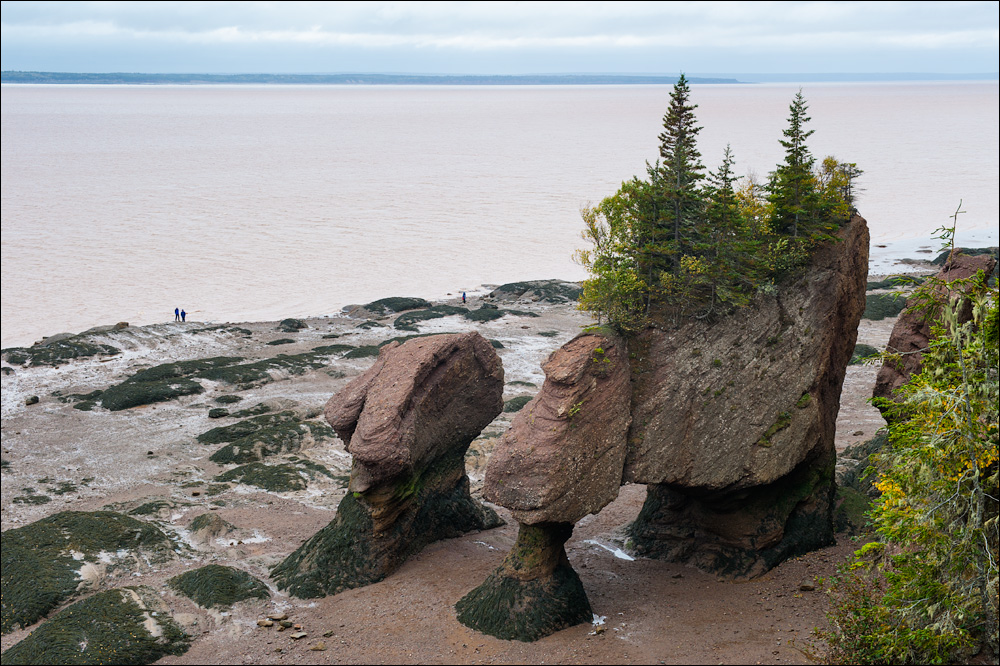 [ Hopewell Rocks ]