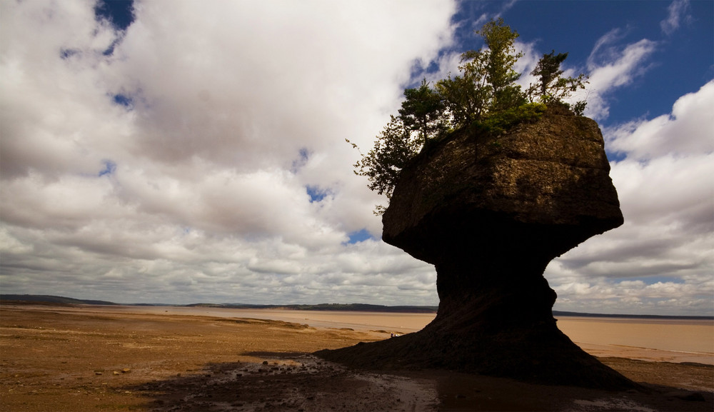 Hopewell Rocks