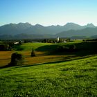 Hopfen am Hopfensee